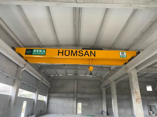Hümsan - Çift Kirişli Gezer Köprülü Vinç projesi